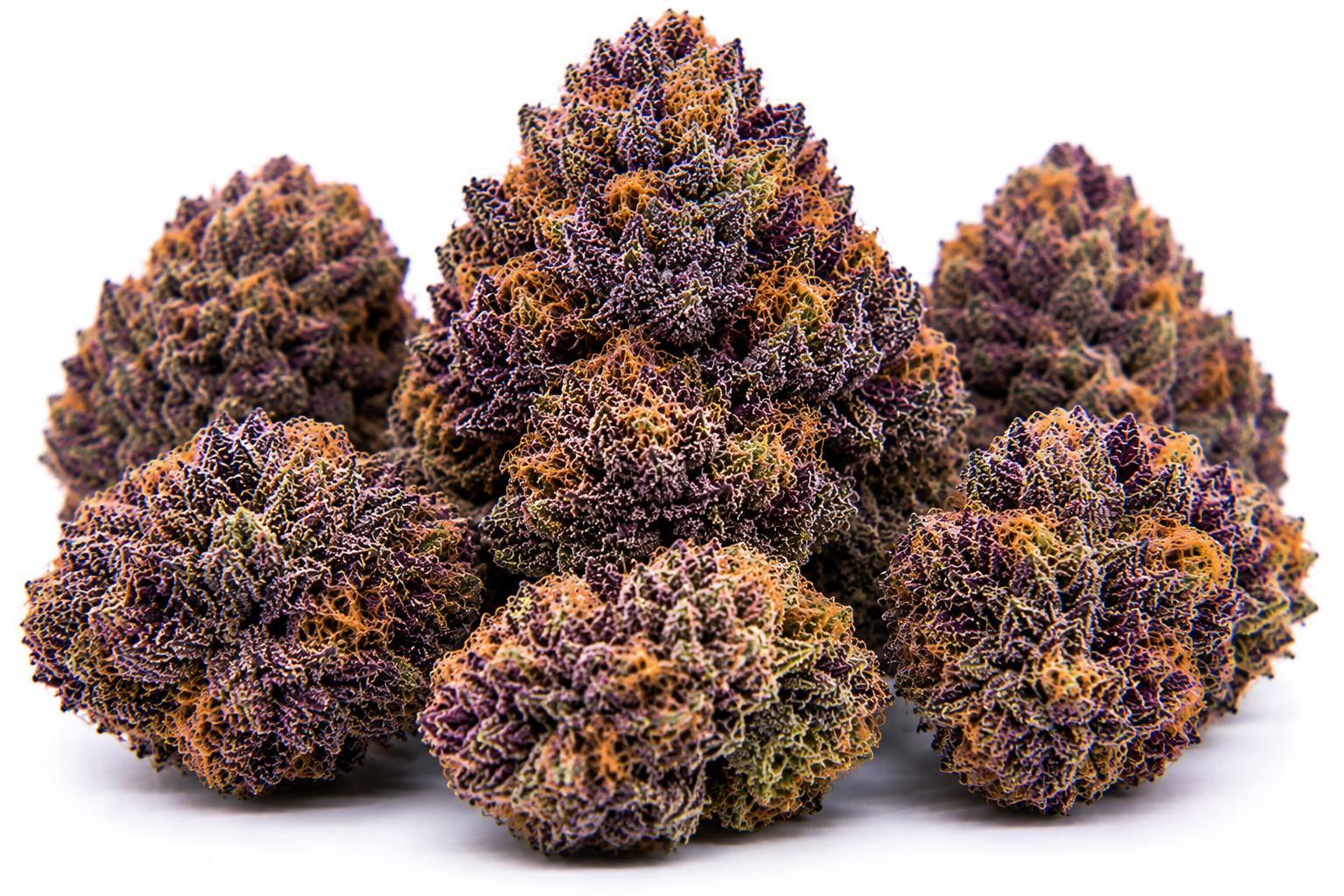 Grape Jelly 1 Grape Jelly Strain
