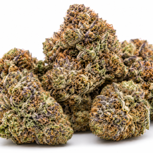 RS11 Strain