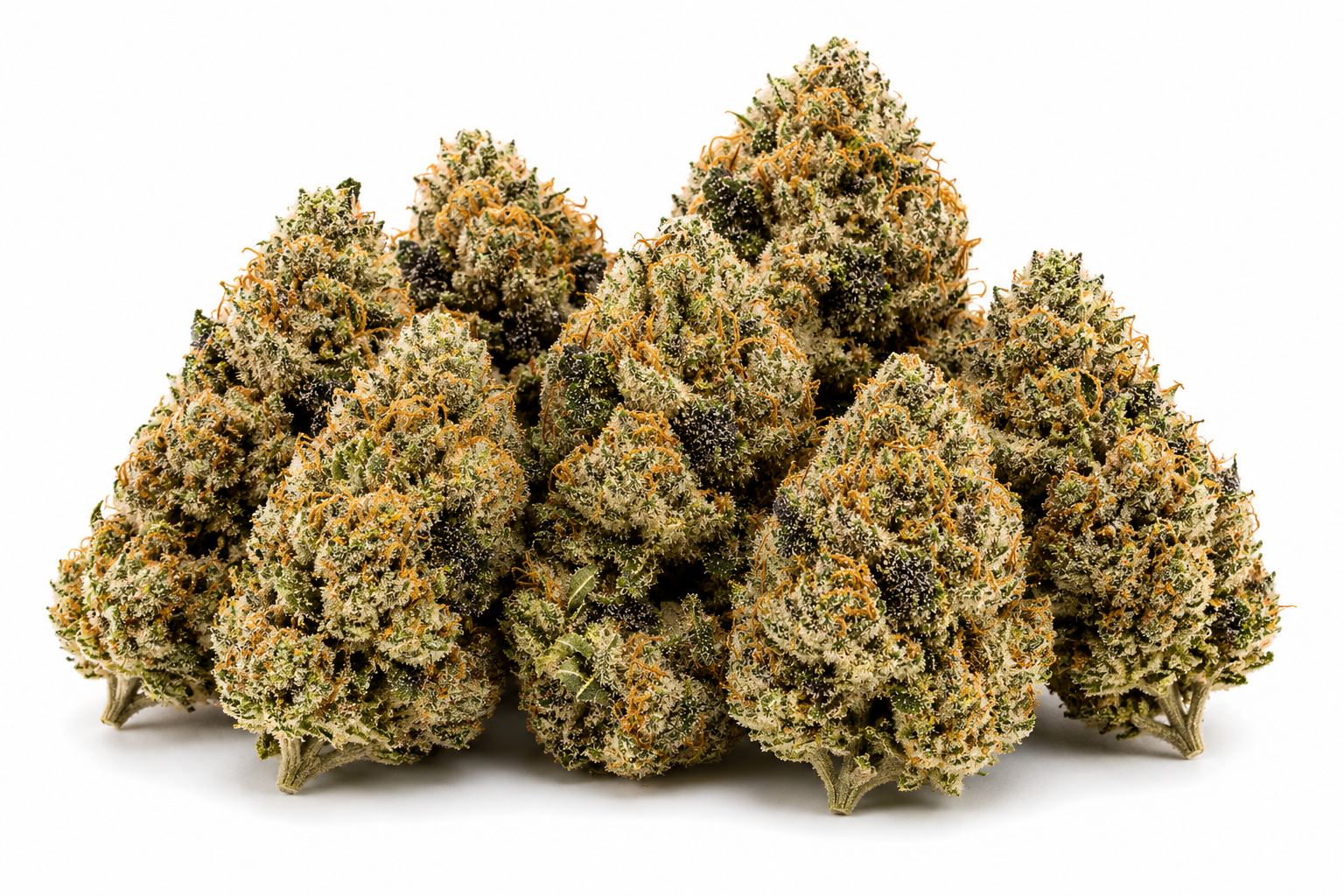 Super Lemon Haze 1 Super Lemon Haze Strain